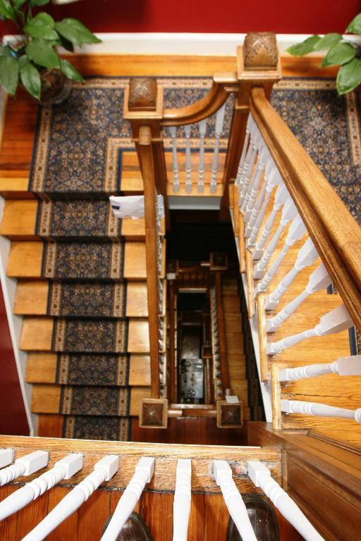 Wilson House Bed & Breakfast Baltimore Eksteriør billede